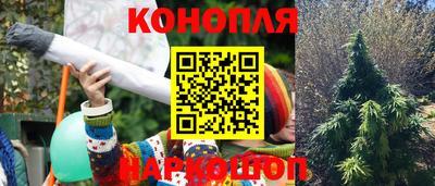 ПСИЛОЦИБИНОВЫЕ ГРИБЫ Краснознаменск